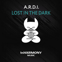 Thumbnail for the A.r.d.i. - Lost In The Dark link, provided by host site