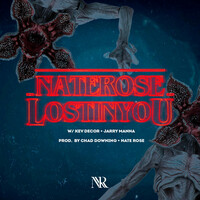 Thumbnail for the Nate Rose - Lost in You link, provided by host site