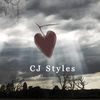 Thumbnail for the CJ Styles - Lost Love link, provided by host site