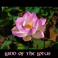 Thumbnail for the Jun. K - Lote Tree link, provided by host site
