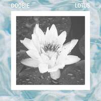 Thumbnail for the Doobie - Lotus link, provided by host site