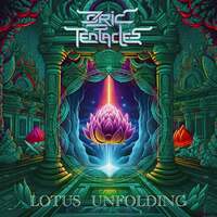 Thumbnail for the Ozric Tentacles - Lotus Unfolding link, provided by host site