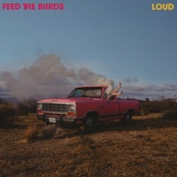 Image of Feed The Biirds linking to their artist page due to link from them being at the top of the main table on this page