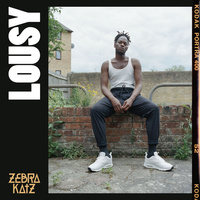 Thumbnail for the Zebra Katz - LOUSY link, provided by host site