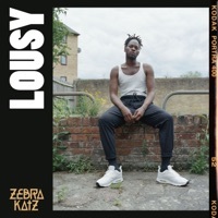Thumbnail for the Zebra Katz - Lousy link, provided by host site