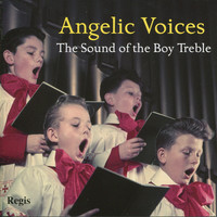 Thumbnail for the Ralph Vaughan Williams - Love Bade Me Welcome link, provided by host site