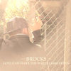Thumbnail for the The Brocks - Love Can Make the Walls Come Down link, provided by host site
