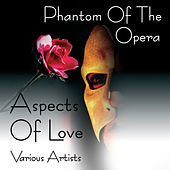 Thumbnail for the Orchestra - Love Changes Everything link, provided by host site