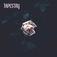 Thumbnail for the Tapestry - Love/Deception link, provided by host site