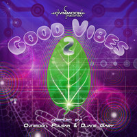 Thumbnail for the Pulsar - Love Experience - Liquid Sound Remix link, provided by host site
