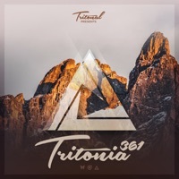 Thumbnail for the SOLR - Love in My Soul (Tritonia 361) link, provided by host site