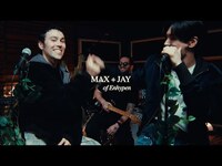 Thumbnail for the MAX - LOVE INSANE (STRIPPED) link, provided by host site