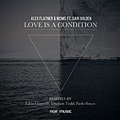 Thumbnail for the MSMS - Love Is A Condition link, provided by host site