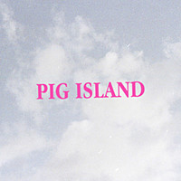 Thumbnail for the Pig Island - Love Is Gonna Reach You link, provided by host site