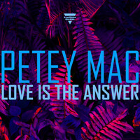 Thumbnail for the Petey Mac - Love Is the Answer link, provided by host site