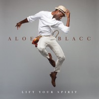 Thumbnail for the Aloe Blacc - Love Is the Answer link, provided by host site