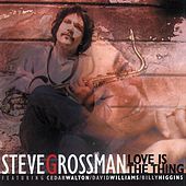 Thumbnail for the Steve Grossman - Love Is the Thing link, provided by host site