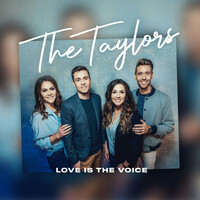Thumbnail for the The Taylors - Love Is the Voice link, provided by host site