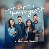 Thumbnail for the The Taylors - Love Is the Voice link, provided by host site