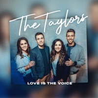 Thumbnail for the The Taylors - Love Is the Voice link, provided by host site