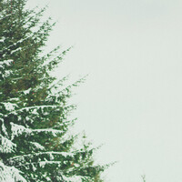Thumbnail for the Graham - Love Like Kids link, provided by host site