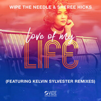 Thumbnail for the Wipe the Needle - Love Of My Life link, provided by host site