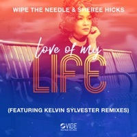 Thumbnail for the Wipe the Needle - Love of My Life link, provided by host site