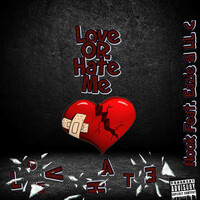 Thumbnail for the Nook - Love or Hate Me link, provided by host site