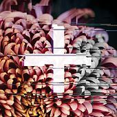 Thumbnail for the Phonte - Love Songs link, provided by host site
