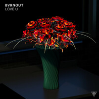 Thumbnail for the BVRNOUT - Love U link, provided by host site