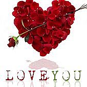 Thumbnail for the Studda - Love You (Quan Ball Out) link, provided by host site