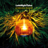 Thumbnail for the Jordan Rakei - Lover, You Should've Come Over link, provided by host site