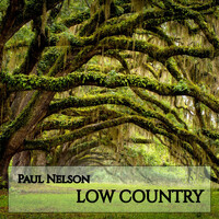 Image of Paul Nelson linking to their artist page due to link from them being at the top of the main table on this page
