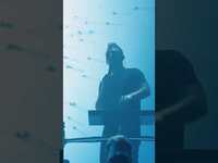 Thumbnail for the ODESZA - Loyal - Live from TLG Cinematic Experience. Full film available worldwide Friday link, provided by host site