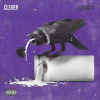 Thumbnail for the Clever - Loyalty link, provided by host site