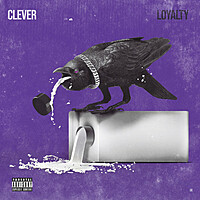 Thumbnail for the Clever - Loyalty link, provided by host site