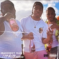 Thumbnail for the Rackboy Cam - Loyalty link, provided by host site