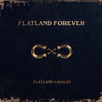Image of Flatland Cavalry linking to their artist page due to link from them being at the top of the main table on this page