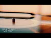 Thumbnail for the KMFDM - LUCIA CIFARELLI - PAPER TIGER link, provided by host site