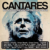 Image of Jose Merce linking to their artist page due to link from them being at the top of the main table on this page