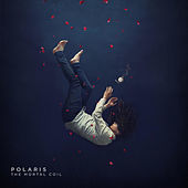 Thumbnail for the Polaris - Lucid link, provided by host site