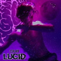 Thumbnail for the Ckay - Lucid link, provided by host site