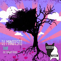 Thumbnail for the Dj Manifesto - Lucid link, provided by host site