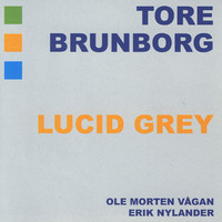 Thumbnail for the Tore Brunborg - Lucid Grey link, provided by host site