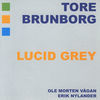 Thumbnail for the Tore Brunborg - Lucid Grey link, provided by host site