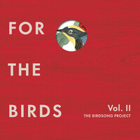 Thumbnail for the The Flaming Lips - Lucifer Hummingbird link, provided by host site