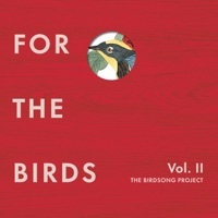 Thumbnail for the The Flaming Lips - Lucifer Hummingbird link, provided by host site