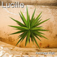 Thumbnail for the Andrew Holt - Lucille (Instrumental) link, provided by host site