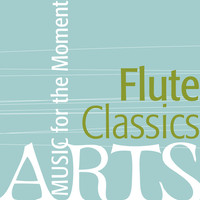 Thumbnail for the Antonio Plotino - Ludwig van Beethoven: Allegro und Menuett für 2 Flöten WoO26, G-Dur (1792), I - Allegro con brio link, provided by host site