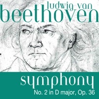Thumbnail for the The Fine Classical Orchestra - Ludwig van Beethoven: Symphony No. 2 in D major, Op. 36 link, provided by host site